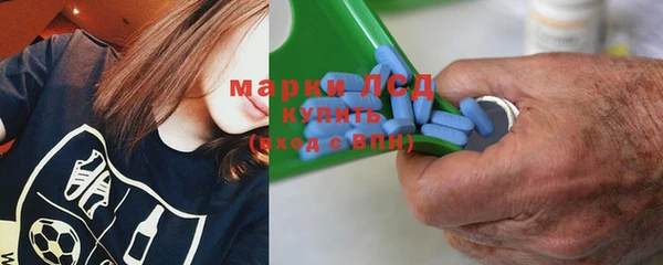 прущие грибы Белоозёрский