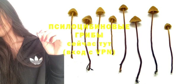 герыч Белокуриха