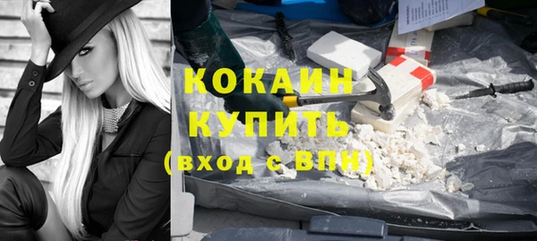 шишки Беломорск