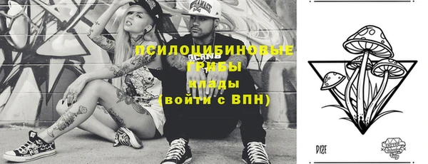шишки Беломорск
