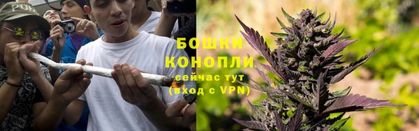прущие грибы Белоозёрский