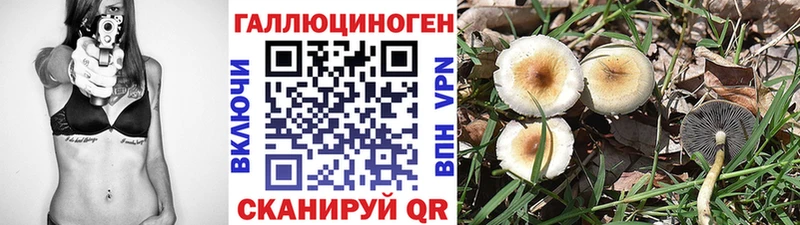 Галлюциногенные грибы прущие грибы  продажа наркотиков  Гвардейск 